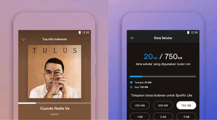 tampilan Spotify Lite (play.google.com)