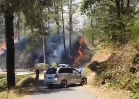 Damkar Gowa Sebut Kebakaran Hutan Pinus Malino Sudah Dipadamkan