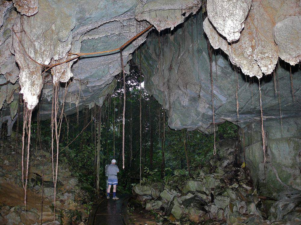 Mulu National Park (commons.wikimedia.org/Bernard DUPONT)