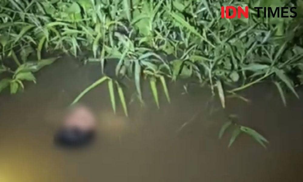 Korban penumpang kapal Bintang Group ditemukan mengapung di Sungai Kapuas. (IDN Times/Istimewa).