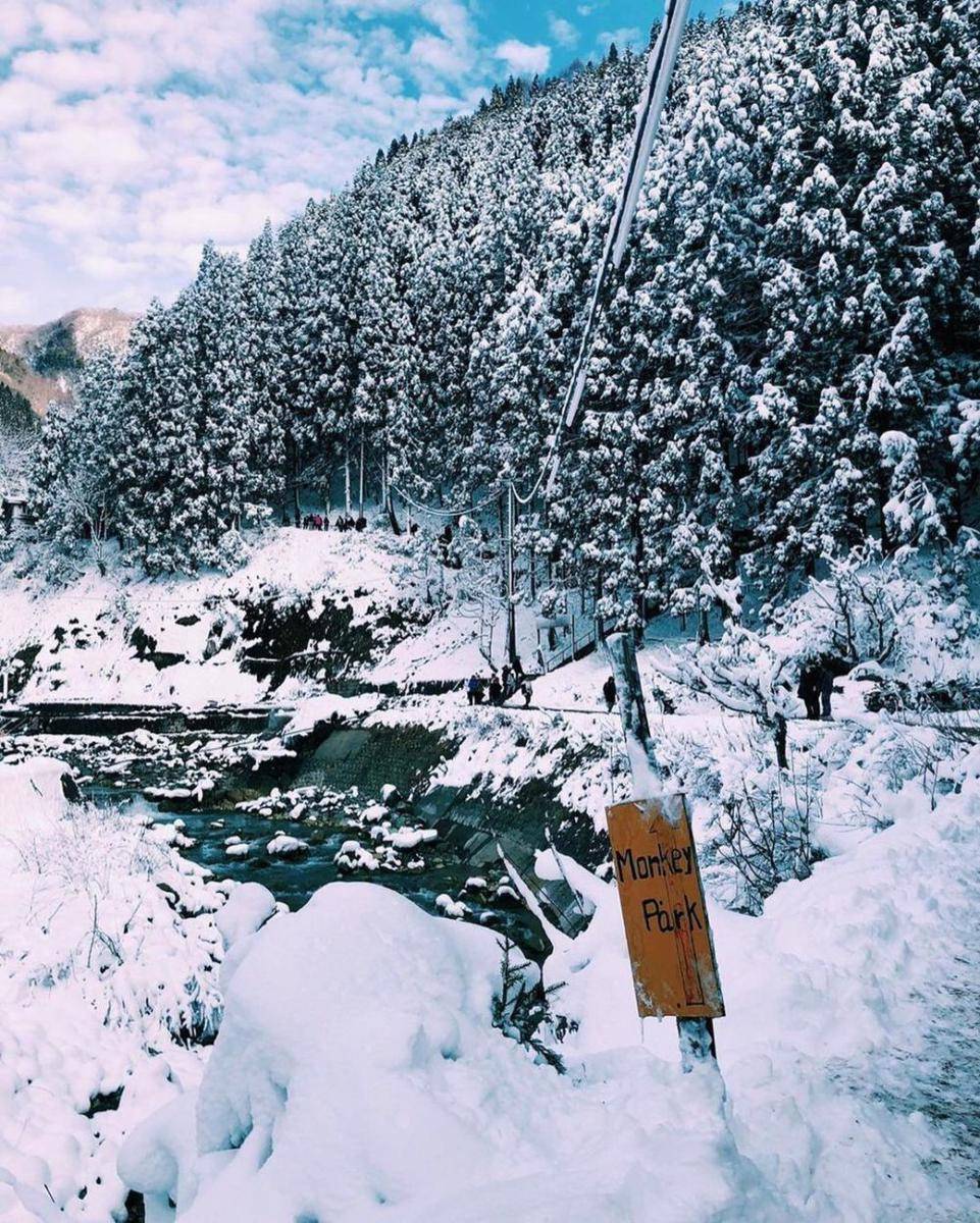 The Jigokudani(instagram.com/chellesundae)