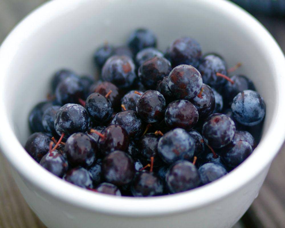 buah blueberry (pexels.com/Christopher Seufert)