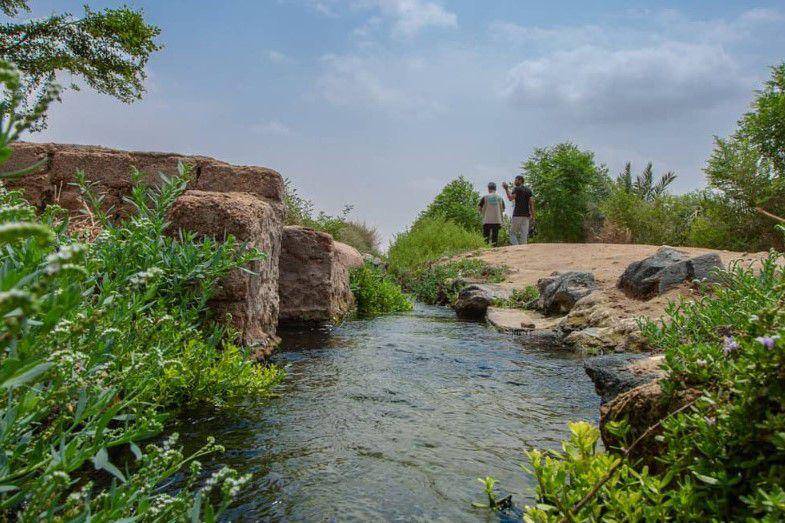 Oasis Yanbu Al Nakhl, Arab Saudi (instagram.com/visitsaudi)
