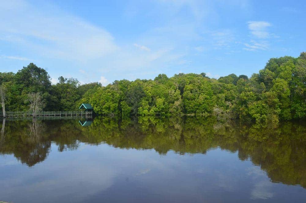 Danau Tahai, Kalimantan Tengah (instagram.com/yudi_angoy)