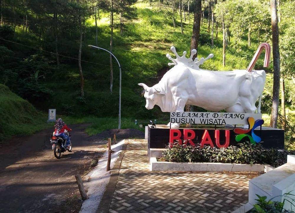 Patung sapi di gerbang masuk Dusun Brau. (Instagram @kecamatan_bumiaji).