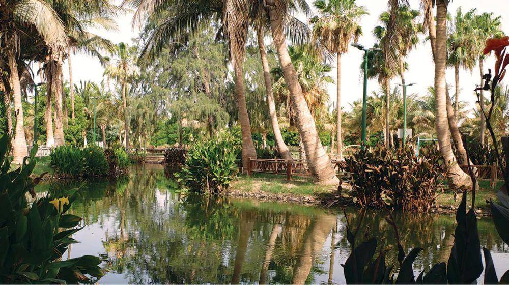 Taman Danau Yanbu, Arab Saudi (visitsaudi.com)