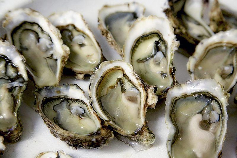 Zat Besi akan Lebih Mudah Diserap Tubuh dengan 5 Makanan Ini