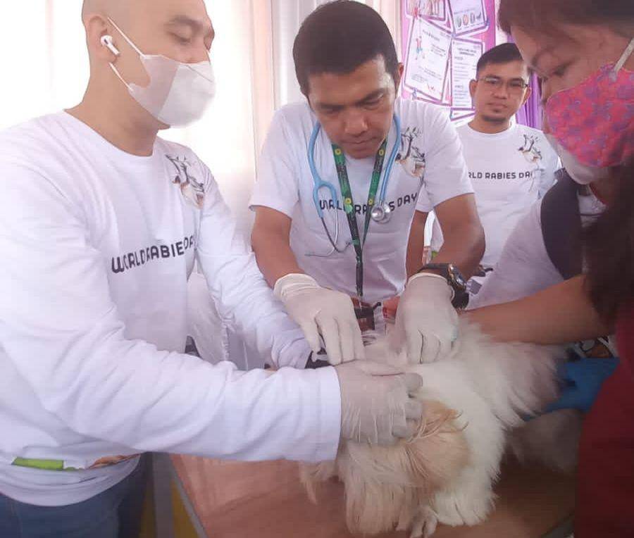 Kegiatan vaksin rabies gratis di Taman UMKM, Kota Bandar Lampung, Sabtu (30/9/2023). (Dok. Karantina Lampung).