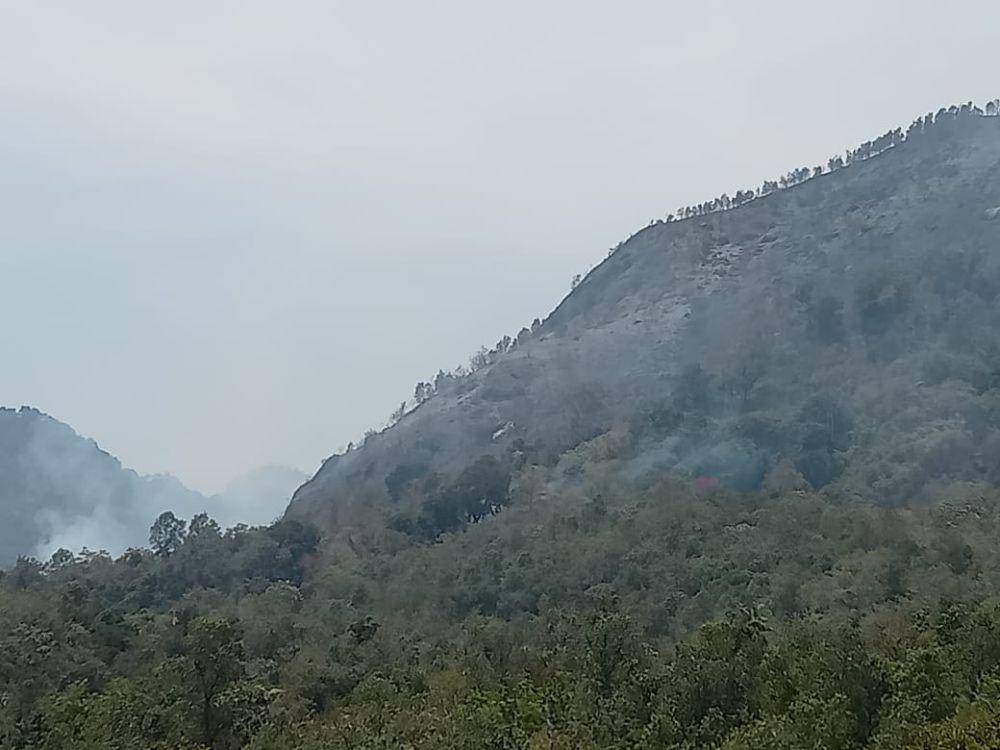 Bukit Lanap Lahat terbakad akibat kekeringan (IDN Times/Dok. BPPD Sumsel)