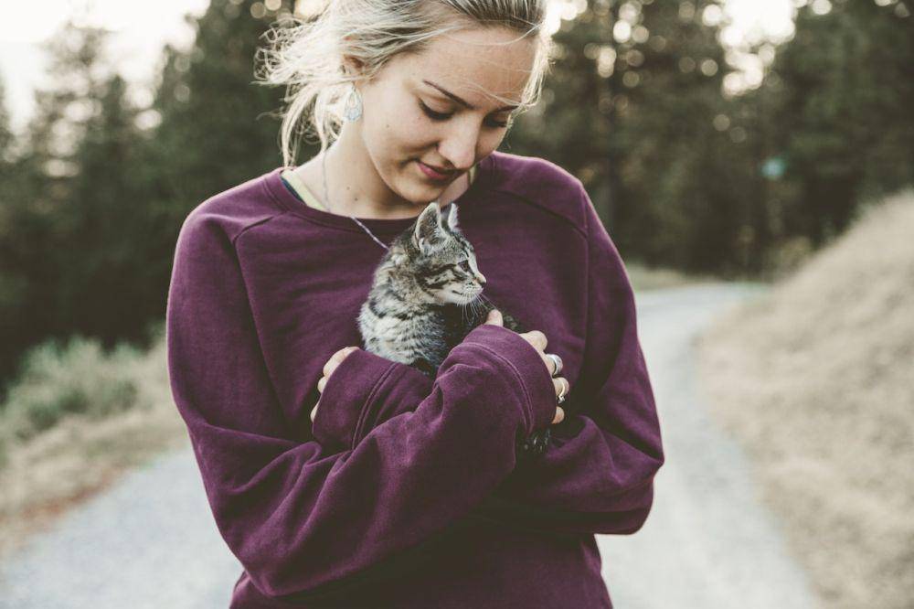 ilustrasi kucing lucu (pexels.com/Japheth Mast)