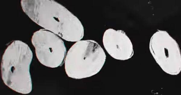 Hitsugaya muncul sebagai zombie Giselle ( Dok. Pierrot / Bleach: Thousand-Year Blood War )