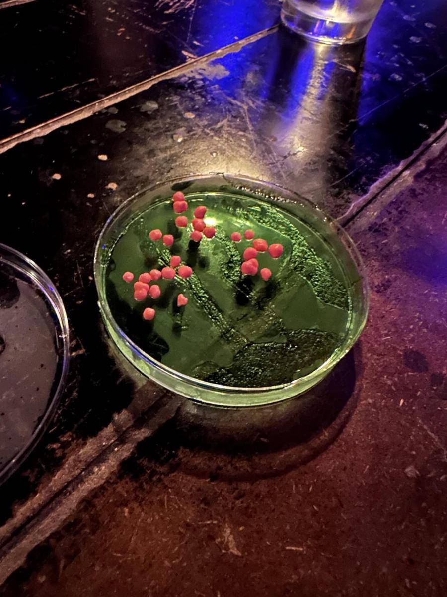 potret penyajian minuman gak masuk akal (reddit.com/user/yikeslana)