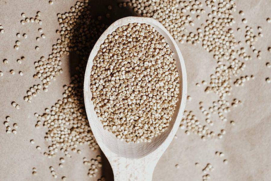 ilustrasi quinoa (pexels.com/Vie Studio)