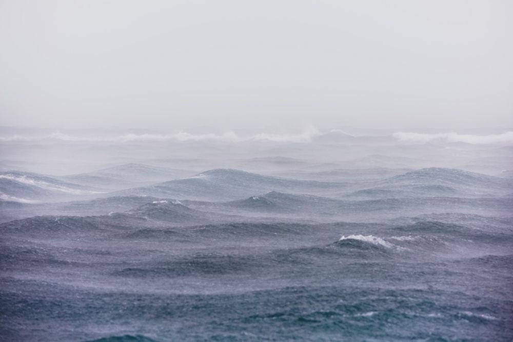 unsplash.com/ameenfahmy