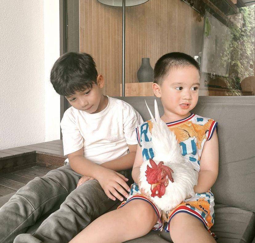 potret Athar, anak Citra Kirana yang lagi hobi pelihara ayam (Instagram.com/citraciki)