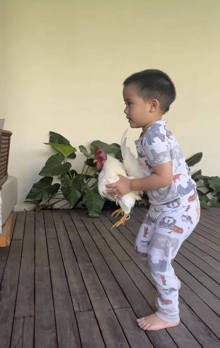 potret Athar, anak Citra Kirana yang lagi hobi pelihara ayam (Instagram.com/citraciki)