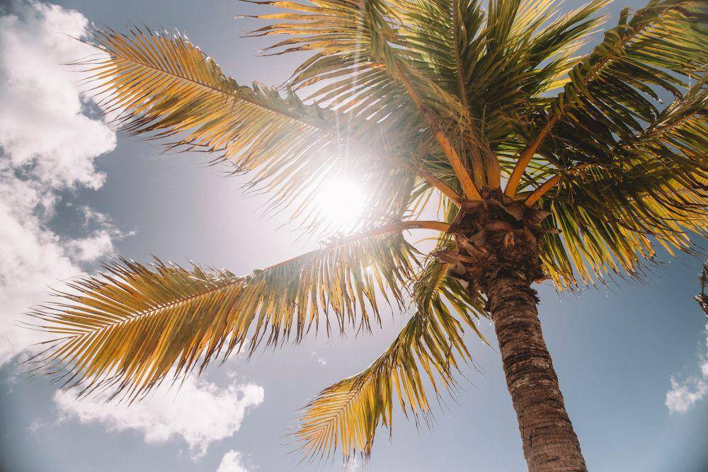 unsplash.com/Jared Rice