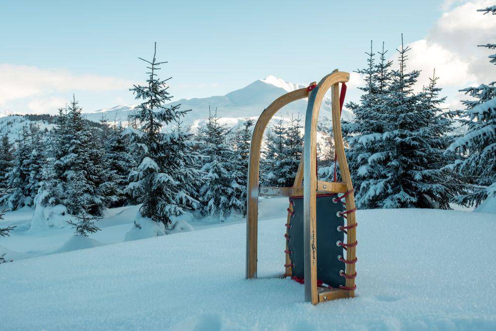 Ilustrasi davos sledge (unsplash.com/teapowered)