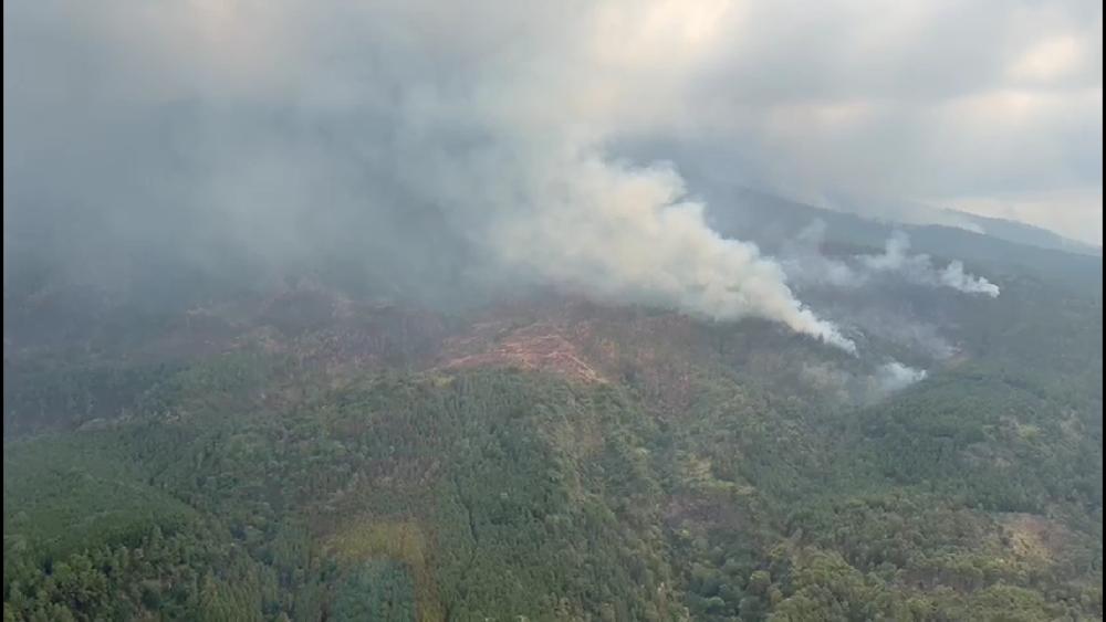 Wilayah Kendal dan Sine Ngawi Jadi Prioritas Water Bombing