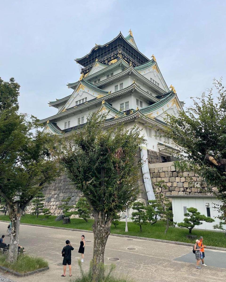 Osaka Castle (instagram.com/mayacinnabon)