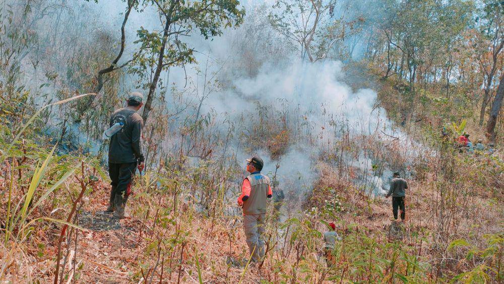Cuaca Panas dan Angin Mengancam Pemadaman Hutan Gunung Agung