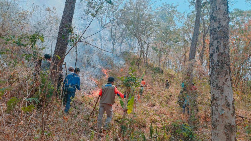Kebakaran hutan di Gunung Agung, Kabupaten Karangasem. (Dok.BPBD Provinsi Bali)