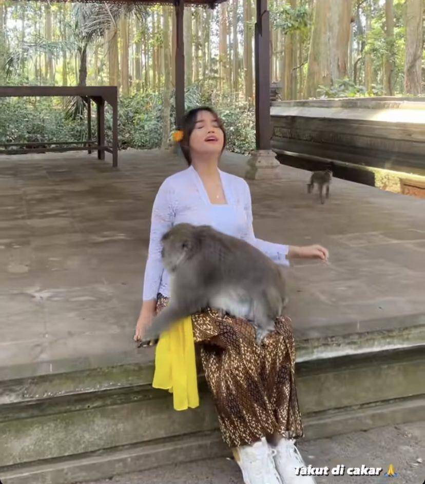 potret estetik Fuji bareng kera di Bali (Instagram.com/fuji_an)