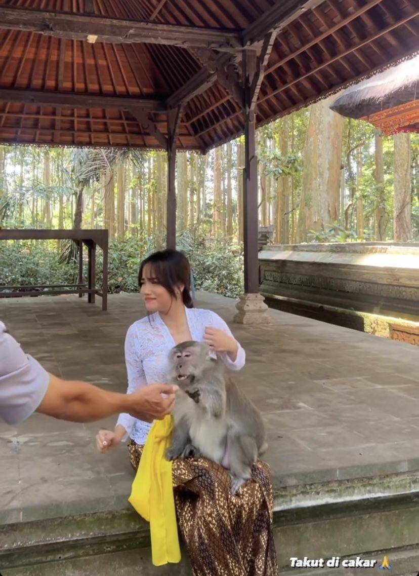 potret estetik Fuji bareng kera di Bali (Instagram.com/fuji_an)