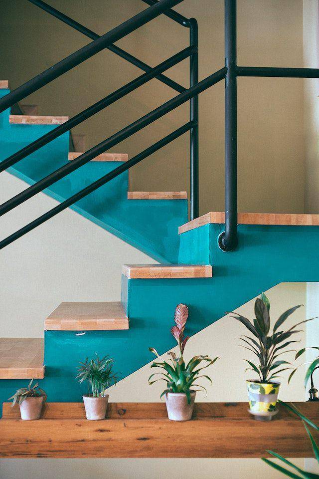 pexels.com/Maria Orlova