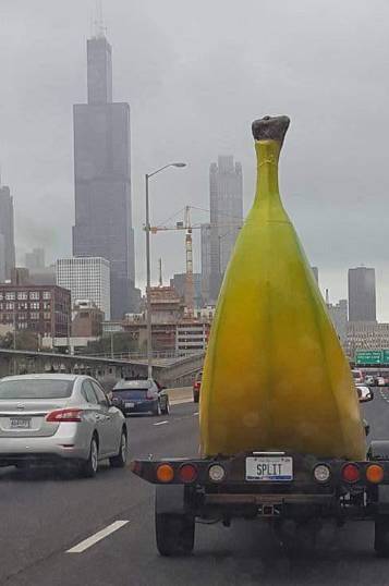 potret lucu pisang (reddit.com/DorShow 1)