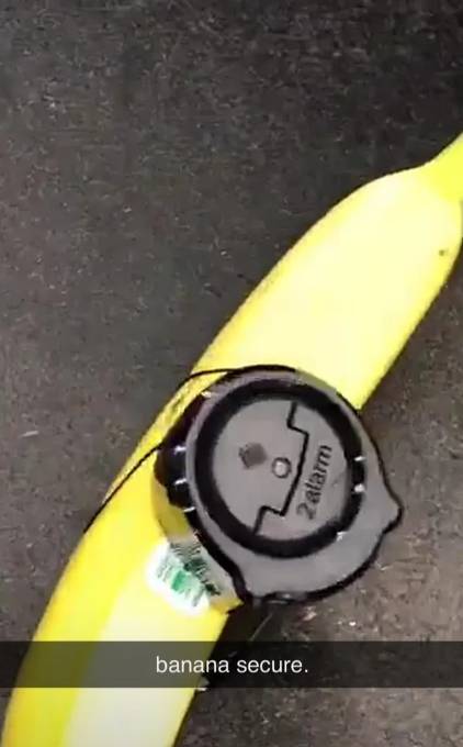 potret lucu pisang (reddit.com/crime_guy)