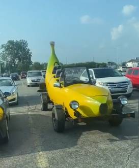 potret lucu pisang (reddit.com/Fantastic_Octopus)