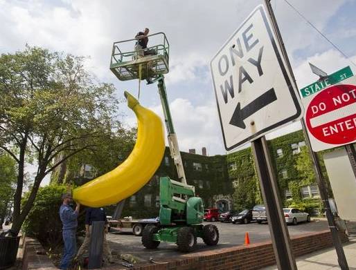 potret lucu pisang (reddit.com/LordCorwinofAmber)