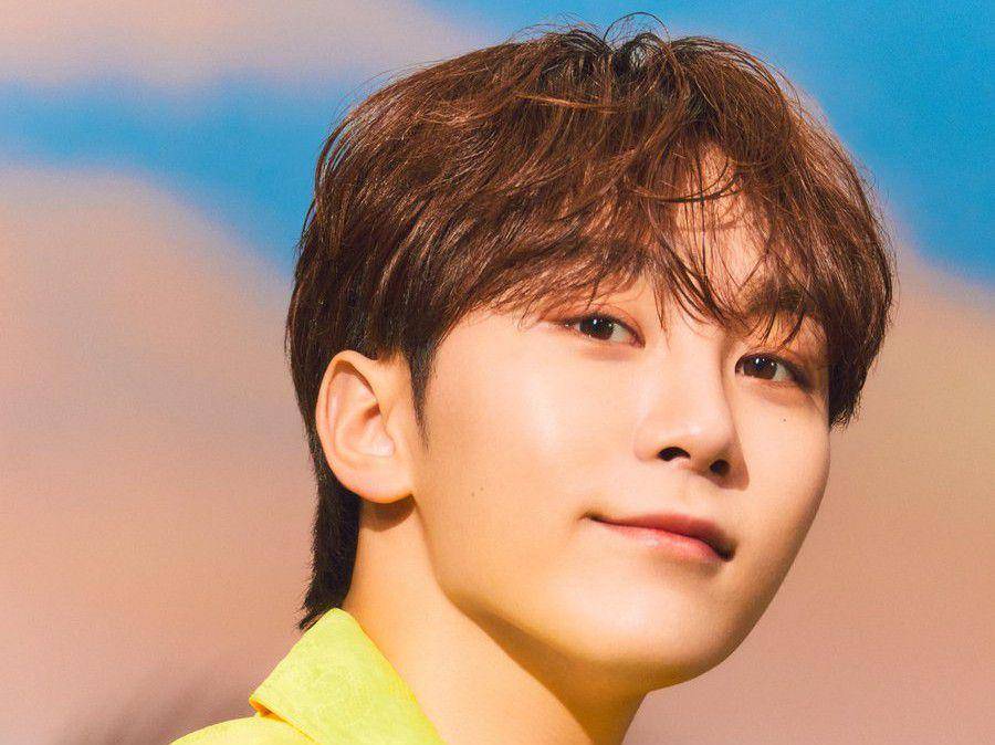 Seungkwan SEVENTEEN (twitter.com/pledis_17)