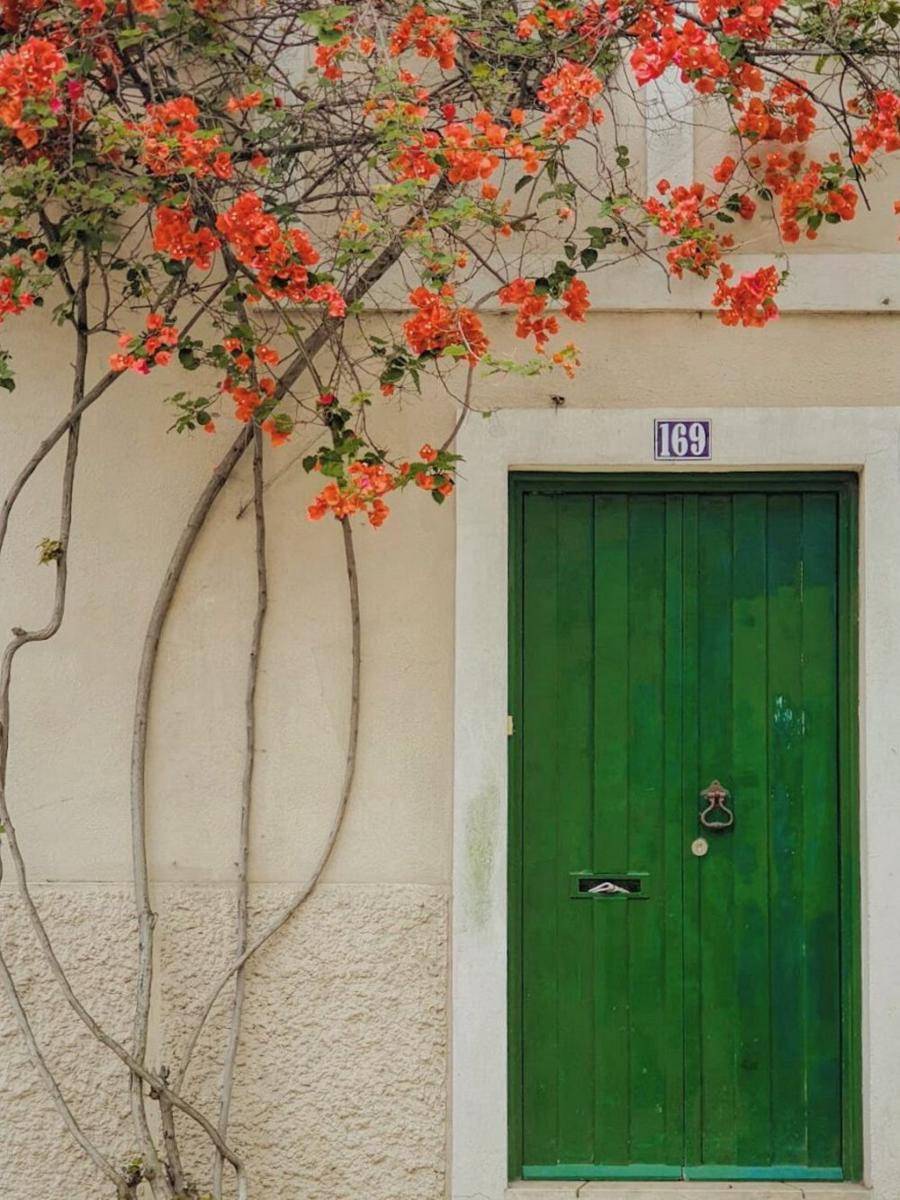 inspirasi pintu belakang (unsplash.com/@reiseuhu)