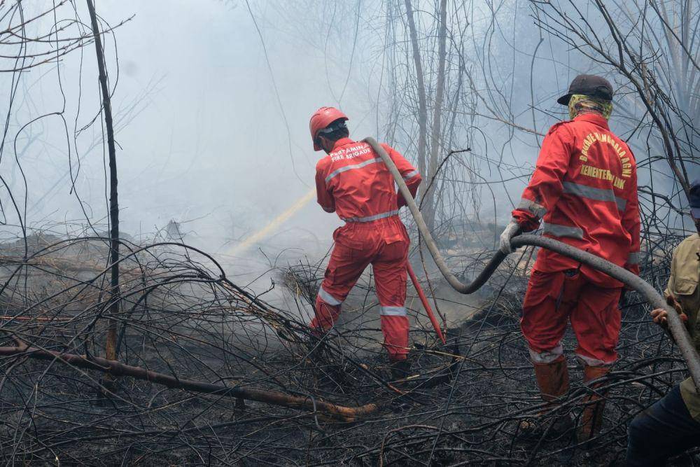 Pertamina Group berkolaborasi bersama berbagai pihak untuk membantu menanggulangi bencana kebakaran hutan dan lahan (karhutla) di wilayah Sumatra Selatan. (dok. Pertamina)