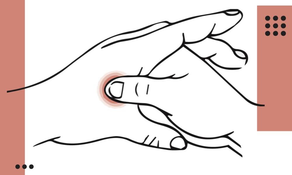 Titik LI4 (mendacupuncture.com)
