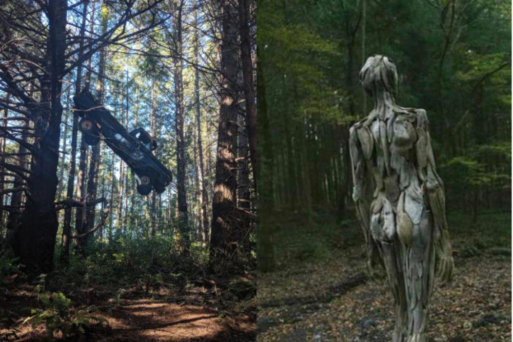 7 Potret Kocak Penampakan Bikin Merinding di Hutan, Berani ke Sini?