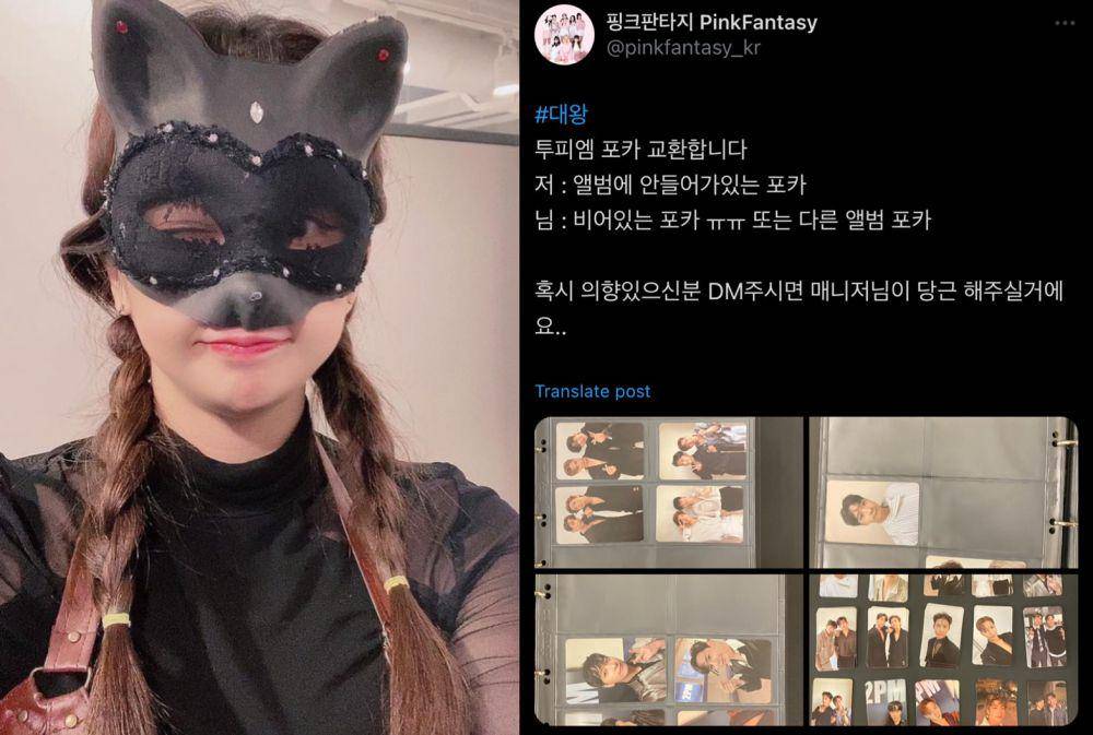 Daewang PinkFantasy dengan koleksi photocard-nya (instagram.com/daewang_official_pf | twitter.com/pinkfantasy_kr)