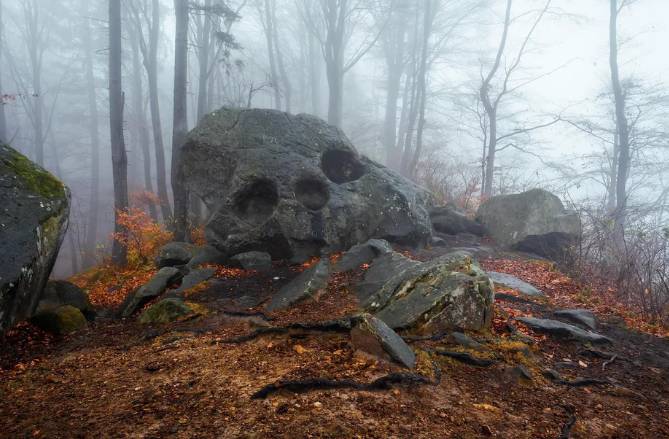 potret kocak hal bikin merinding di hutan (reddit.com/Bo4dan)