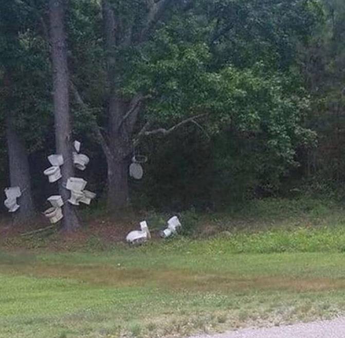 potret kocak hal bikin merinding di hutan (reddit.com/idrgsf)