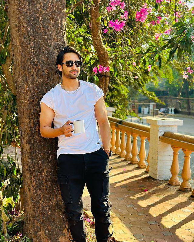 Shaheer Sheikh (instagram.com/shaheernsheikh)