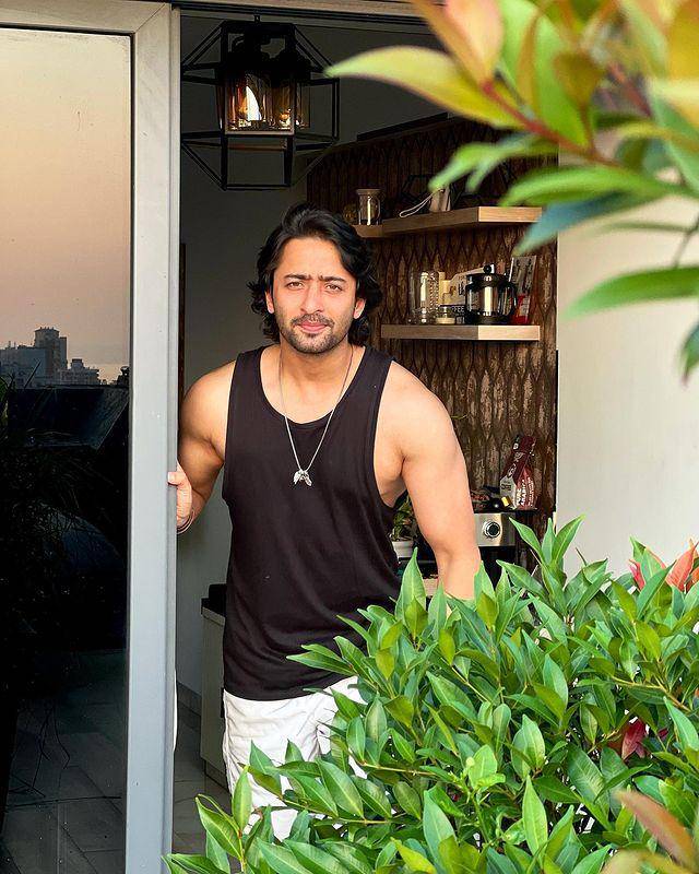Shaheer Sheikh (instagram.com/shaheernsheikh)