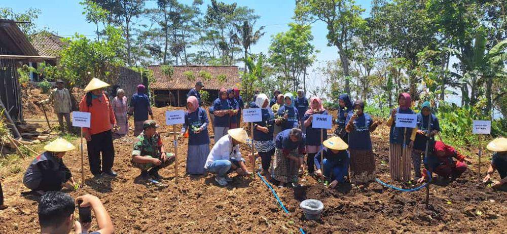 Dalam rangka memperingati Hari Tani Nasional ke-63, PT Permodalan Nasional Madani (PNM) memberdayakan sektor pertanian dengan melakukan penanaman 10.000 lebih bibit tanaman. (dok. PNM)