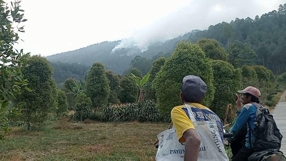 Petak 51A jadi tempat sasaran utama water bombing. (IDN Times/ Riyanto)