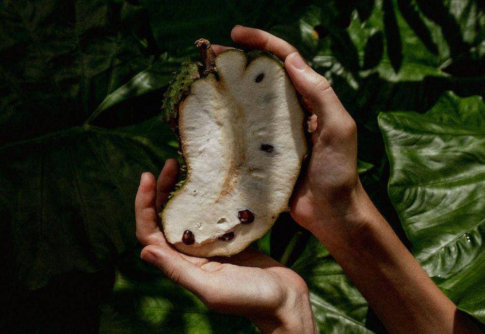 Buah sirsak (pexels.com/id-id/@iurii-laimin-78973777/)