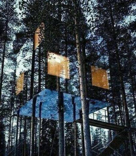 potret kocak rumah pohon gak biasa (reddit.com/mobilelibrarian)