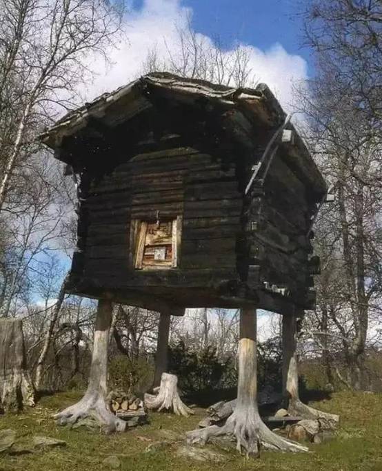potret kocak rumah pohon gak biasa (reddit.com/Photon_Pharmer)