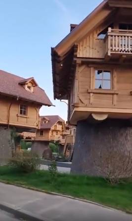 potret kocak rumah pohon gak biasa (reddit.com/longsanks)