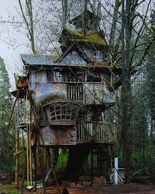 potret kocak rumah pohon gak biasa (reddit.com/damdam1)